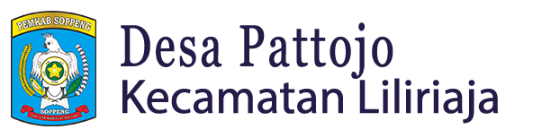 Website Desa Pattojo